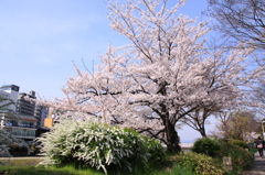 130404_0003
