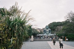 FH000035