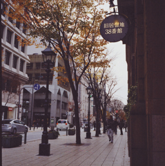 121202_0008