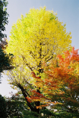 FH000009