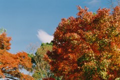 FH000023