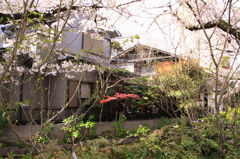 130404_0001