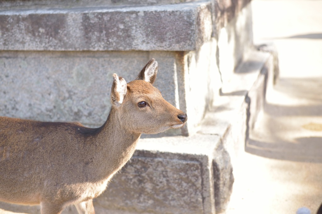 温かな日差し