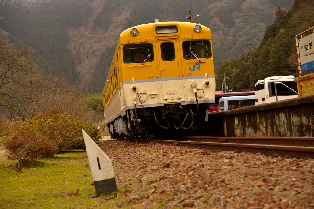 黄色い電車