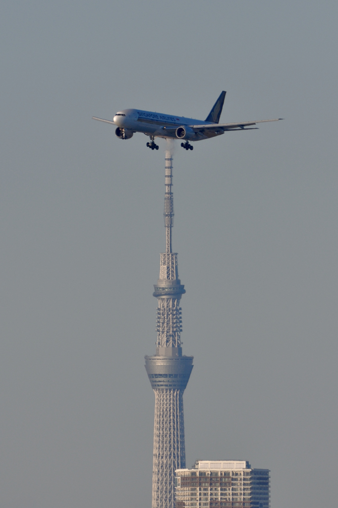 On sky tree