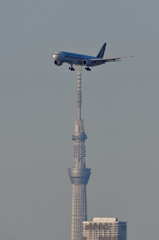 On sky tree