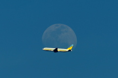 Day Time Moon&AIR DO B767