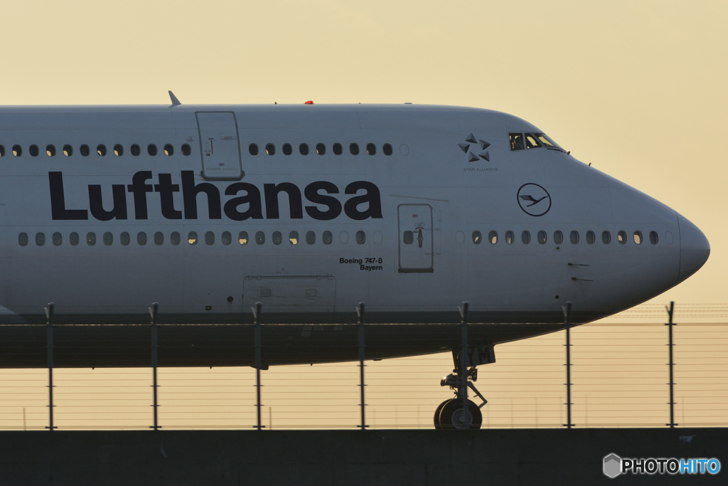 Lufthansa B747-8