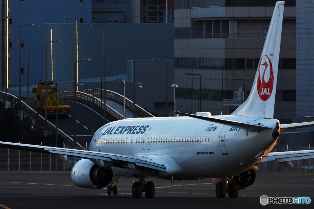 JAL737