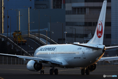 JAL737