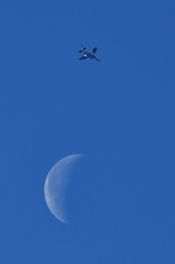 Moon&Blue Impulse #4