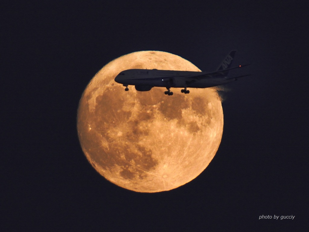 Moon＆787