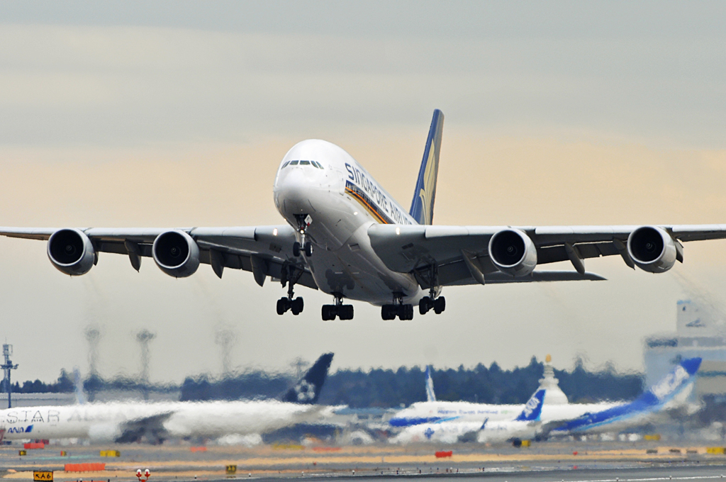 SQ A380離陸 by gucciy （ID：3049207） - 写真共有サイト:PHOTOHITO
