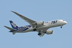 ANA Boeing787_JA802A