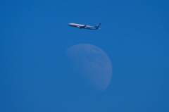 B777＆Moon