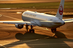 Taxing JAL767