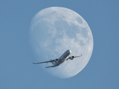 moon shot