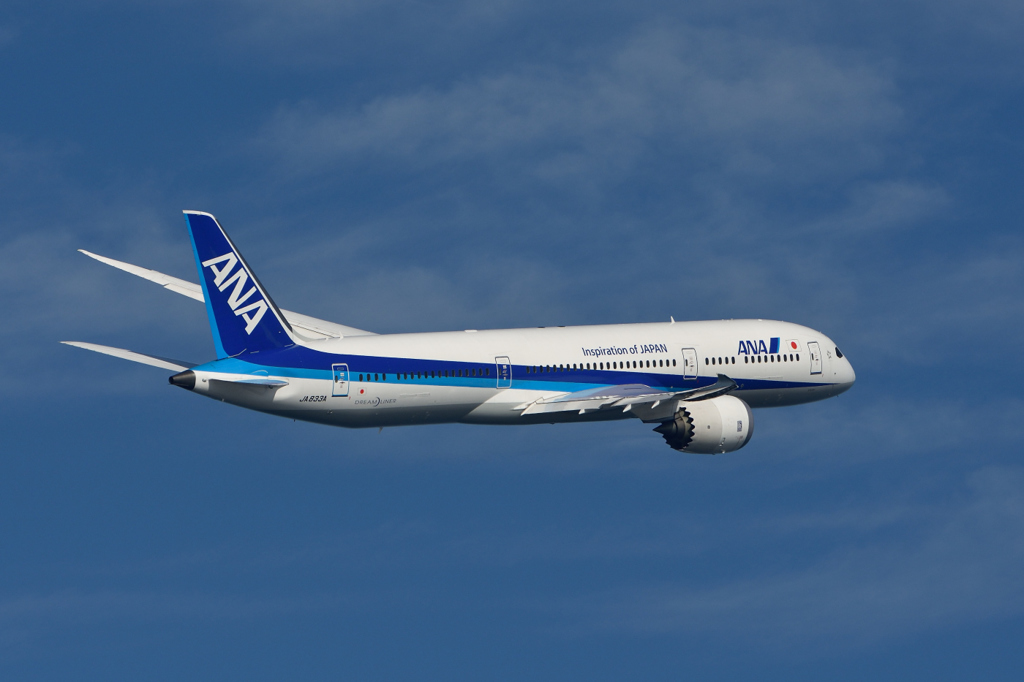 BLUE SKY ANA787 