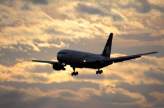 morning arrival