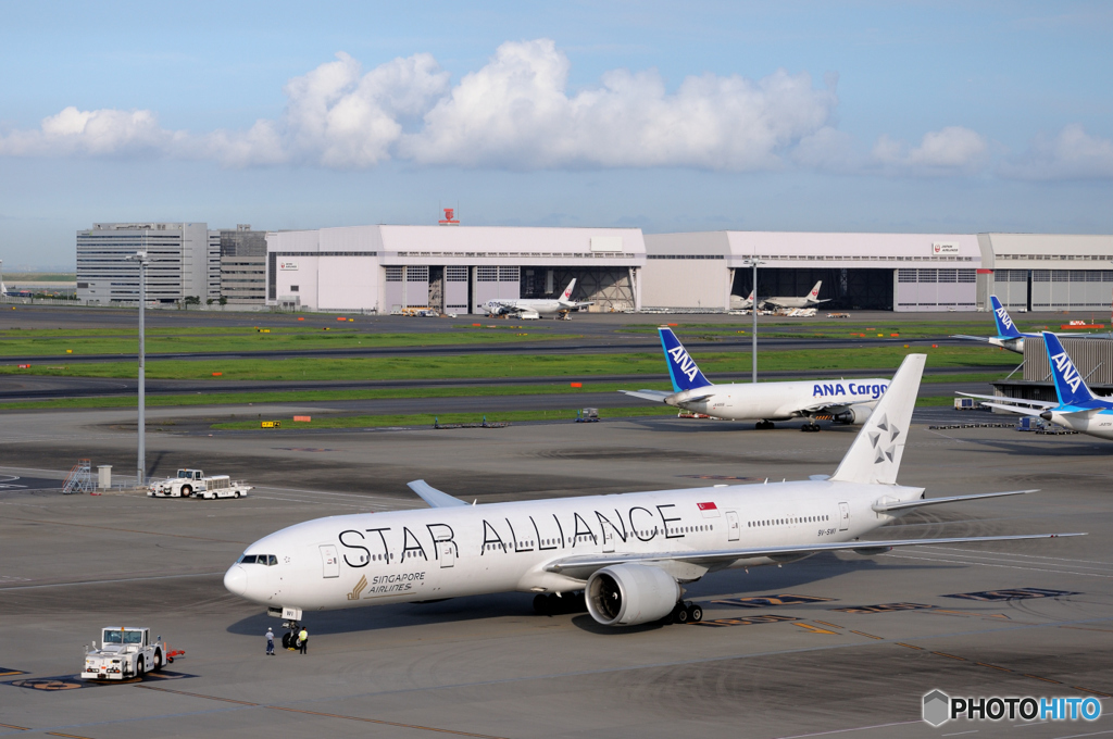 STAR ALLIANCE