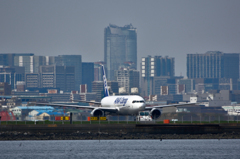 City Airport HANEDA