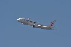 JAL_JA829J①