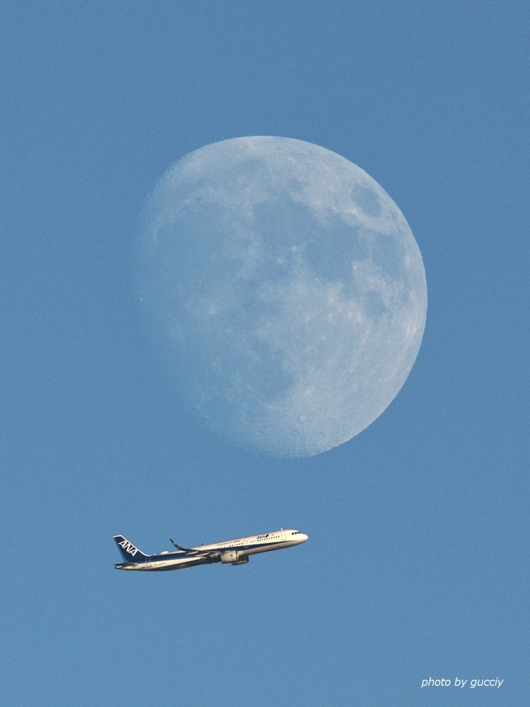 moon&ana