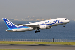 ANA　B787