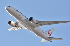 JAL_JA829J②