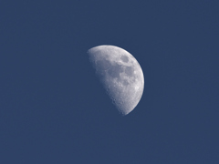 1/29の月