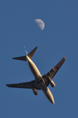 737&moon