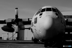 Lockheed C-130H Hercules