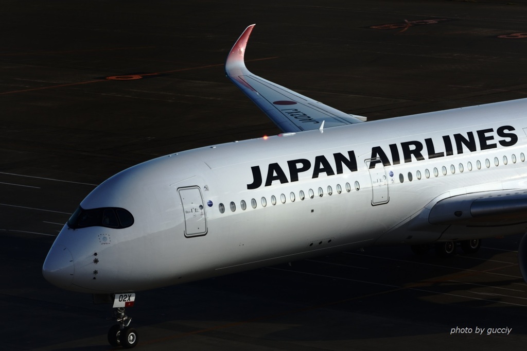 エアバス350