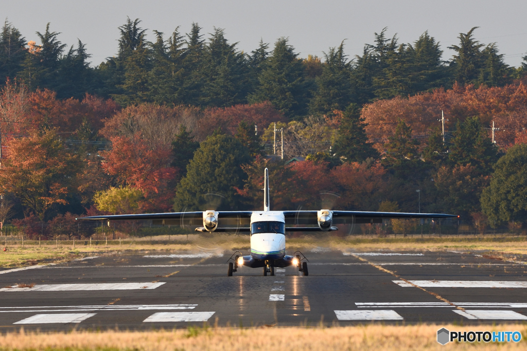 紅葉とDornier228