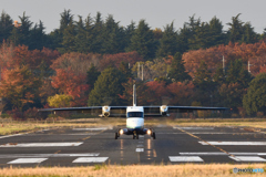 紅葉とDornier228