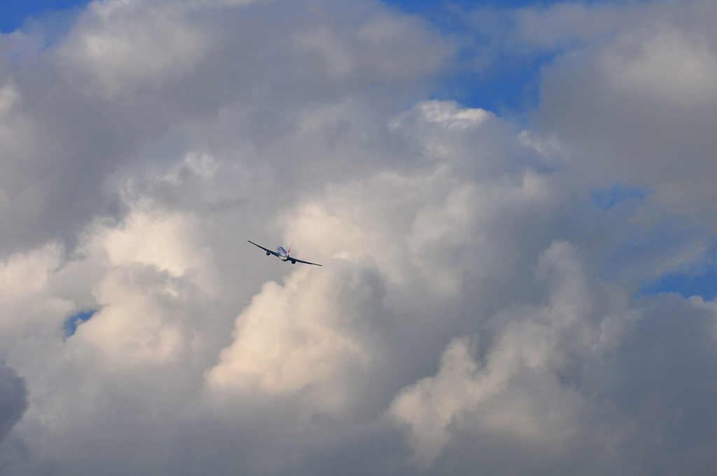 climb and turn right　JAL767