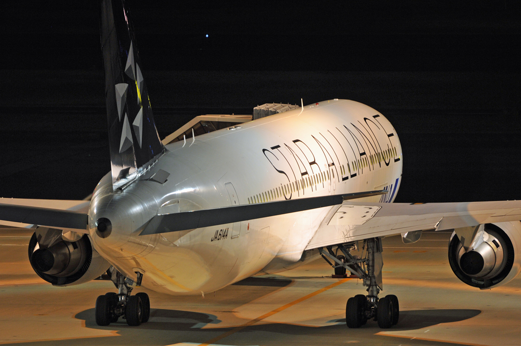 STAR ALLIANCE B767