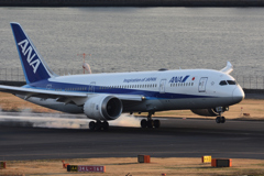 ANA B787