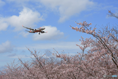 spring Jetstar