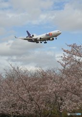 spring fedex