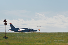 green grass T-4