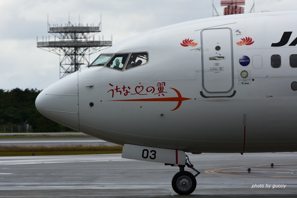 うちな～の翼