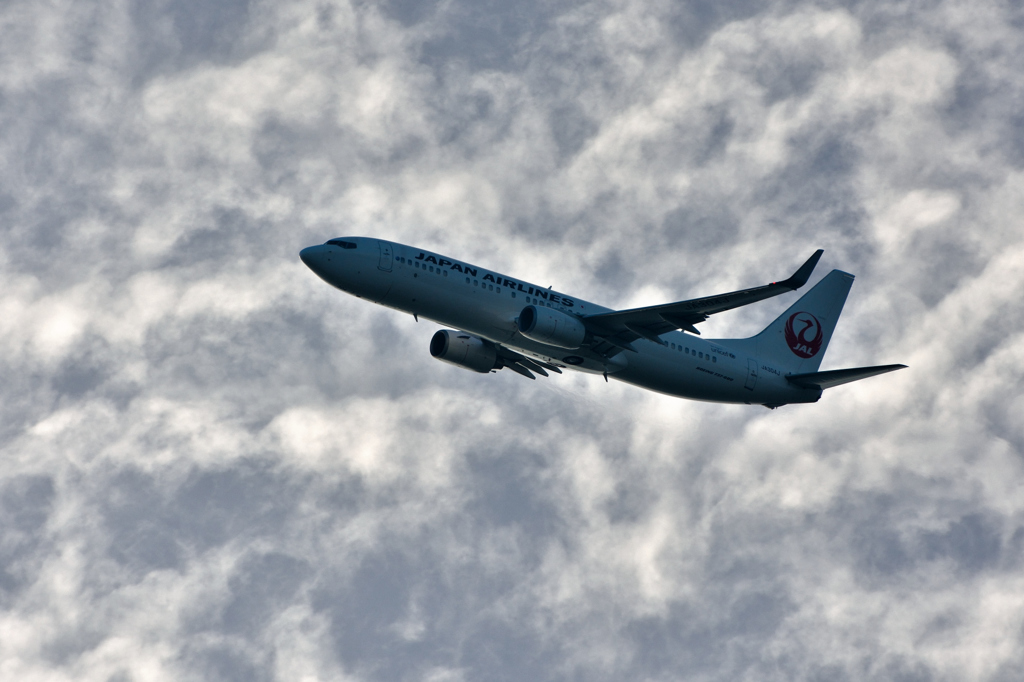 JAL　B737-800
