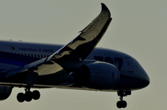 787の翼