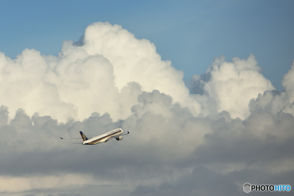 リクエスト青空