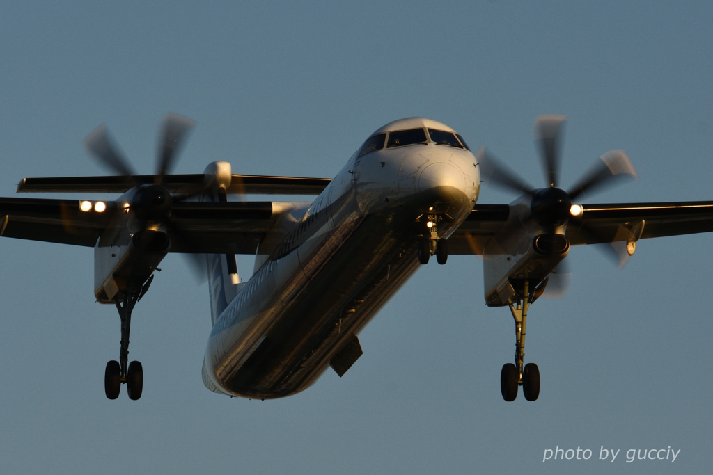  Dash 8