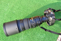 NikonD7200+MB-D15+300/2.8+TC2.0Ⅲ