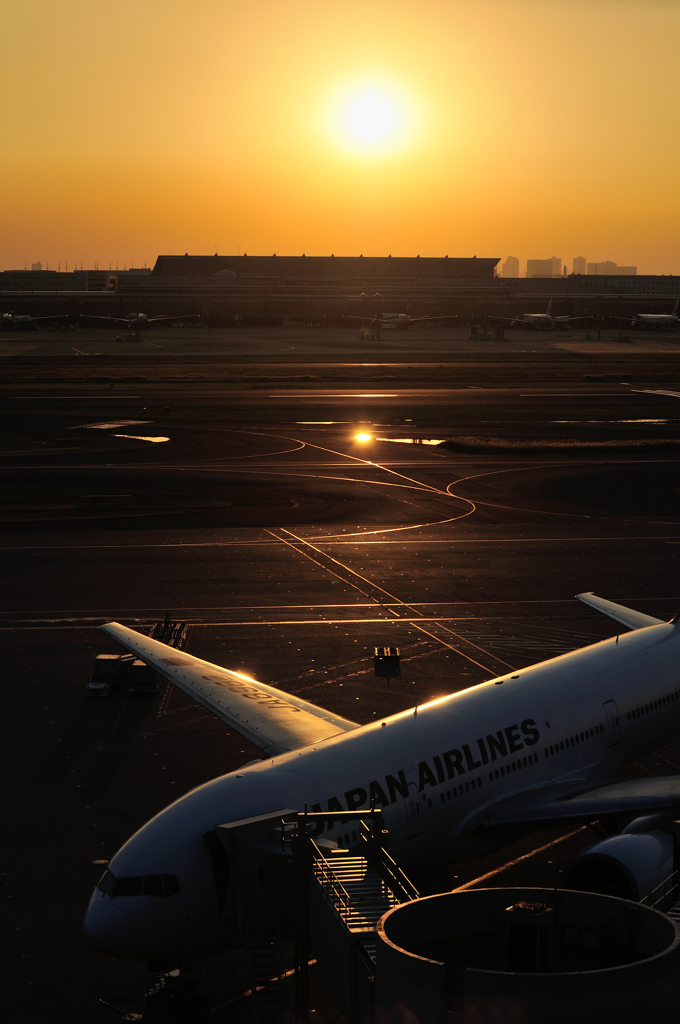the evening sun