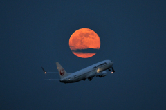 Full Moon&B737