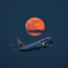 Full Moon&B737